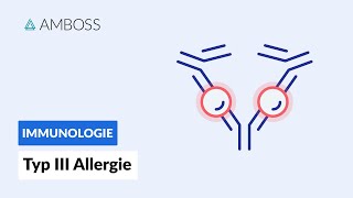 Immunkomplex Reaktion  Typ III Allergie  Biochemie  AMBOSS Video [upl. by Yenttihw]