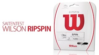 Saitentest  Wilson Ripspin [upl. by Livvi]