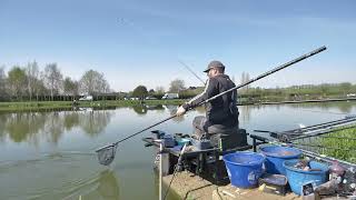 Live fishing match at Manor Farm Leisure  Middle Pool [upl. by Niotna]