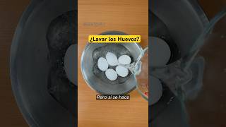 ¿Lavar los huevos es necesario cienciaycocina shorts [upl. by Edak618]