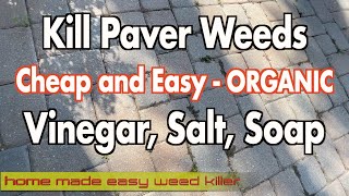 How to get rid of weeds on pavers and driveways Permanently  Organic Way [upl. by Sarina]