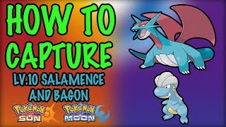 How to Capture Level 10 Salamence and Bagon  Pokemon Sun and Moon [upl. by Gwen]