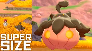 SUPER SIZE PUMPKABOO 1 Spawnrate Route 4  Pokemon Sword amp Shield [upl. by Lotsyrk850]