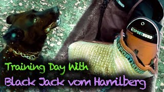 IPO Schutzhund Training Day With Black Jack vom Hamilberg [upl. by Ponton]