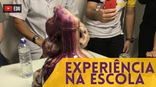 EXPERIÊNCIA  Bola de Sorvete Gigantesca [upl. by Notrub]