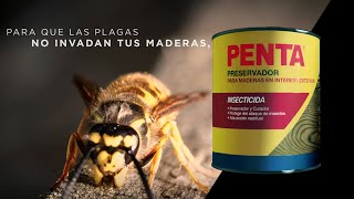 Protegé tus maderas con Penta [upl. by Mendive]