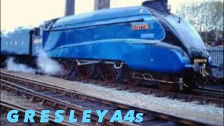 NEW🚂HORNBY TT120 A4s AT SPEED [upl. by Damal]