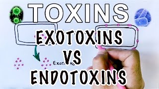 Overview of Toxins  Exotoxins Vs Endotoxins [upl. by Lecirg386]