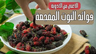 فوائد التوت الأزرق والأسود التي ستجعلك تضيفهما فورًا إلى نظامك الغذائي [upl. by Crescantia]