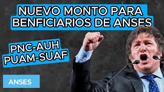 🚨¡¡ALARMANTE😱 EL NUEVO AUMENTO de 400000🔥 Javier Milei y Anses dan a conocer NUEVOS montos 📌 [upl. by Nosilla]