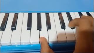 Des pas sito melodica playing [upl. by Roma]