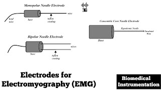 Electrodes for Electromyogram EMG  Biomedical Instrumentation and Measurement [upl. by Panaggio]