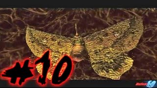 Devil May Cry 2 PS2  Dante walkthrough part 10 [upl. by Natsirt]