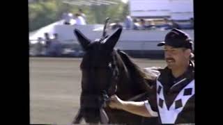 1999 Delaware County Fair CAROLINA RICH Don Irvine Jr [upl. by Airoled]