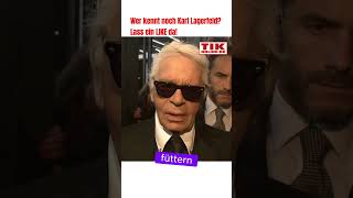 Karl Lagerfeld über seine Katze lagerfeld karllagerfeld fashion designer tiere starnews [upl. by Nixie532]