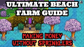 Stardew Valley Ultimate Beach Farm Guide  How To Make Money Without Sprinklers [upl. by Assin927]