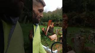 Une fendeuse arborist jardin firewood arbreastuce travauxmaison [upl. by Dorin]