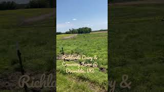 Richlands Dairy and Creamery Farm located in Dinwiddie Virginia [upl. by Towney317]