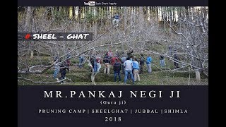 2018  Mr Pankaj Negi ji  Pruning Camp  SheelGhat  Jubbal  Shimla [upl. by Anali]