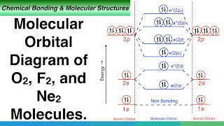 Molecular Orbital Diagram of O2 F2 and Ne2 Molecules [upl. by Ymeraj]