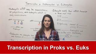 Transcription in Prokaryotes vs Eukaryotes [upl. by Christan429]