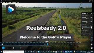 New GoPro Player  Reelsteady 20 For Smooth FPV Footage  Tips and Fixes User Guide [upl. by Ettelrac]