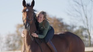 Starting young horses  Feather Light Academy [upl. by Eelram]