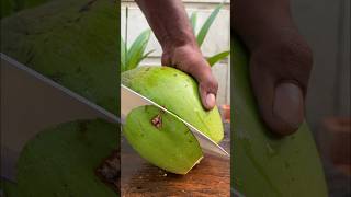 Fantastic coconut cutting shortvideo coconutcutting [upl. by Ahsiekyt]