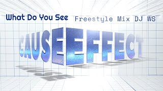 Cause Effect  What Do You See Freestyle Mix DJ WS [upl. by Rehoptsirhc]