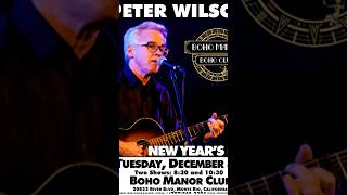 Peter Wilson  Boho Manor  NEW YEARS EVE jazz [upl. by Decato]