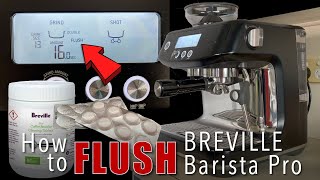 How to Flush Breville Barista Pro  Sage Barista Pro  ASMR  kape atbp [upl. by Trin]