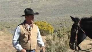 Josh Foster the man Tom Dorrance refused to work with Mule Trainer Horse Trainer [upl. by Erena]