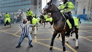 Newcastle Fan Punches A Horse [upl. by Cordell]