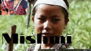 Chinese mishmi albumsmishmi new 2022 [upl. by Notwen]