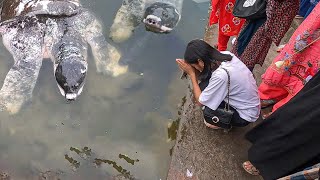 Walk in 🇧🇩 Bayazid Bostami Mazar Chattogram Bangladesh  Walking Tour [upl. by Levitus599]