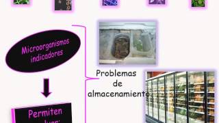 Microbiologia de los alimentos MDA [upl. by Htedirem]