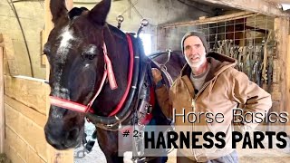 HORSE BASICS 3 Draft Horse Harness Parts  DRing Harnesses [upl. by Nosnorb569]