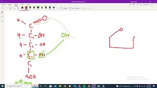 ribose linear and ring structure explained [upl. by Neri]