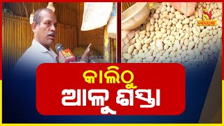 ଗ୍ରାହକଙ୍କ ପାଇଁ ଖୁସି ଖବର ଆଳୁ ଛାଡିଲାଣି ପଶ୍ଚିମବଙ୍ଗ  Nandighosha TV [upl. by Osnohpla]