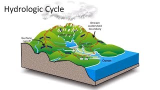 Hydrologic Cycle [upl. by Kedezihclem]