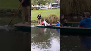 How fun is punting in New Zealand 😍🚣 shorts punting newzealand [upl. by Novyert]