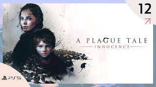 A Plague Tale Innocence  En Español  Capítulo 12 PS5  60FPS [upl. by Abram]