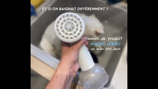 Mélangeur économique de shampoing Fur Ever pour le toilettage du chat et chien [upl. by Brie]