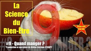 9 Quand manger  LA SCIENCE DU BIEN ÊTRE Vraie voix Full HD WattlesStoupy [upl. by Estel]