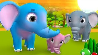 हाथी राजा कहां चले  Hathi Raja Kaha Chale  Hathi Raja Kids Video Song  Cartoon Video [upl. by Nele]