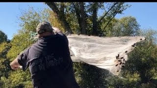 Muddy Kanawha Creek Chub Hunter [upl. by Eiramnwad]