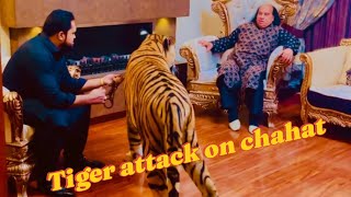 Chahat fateh ali khan pr tiger nay attack kar dia [upl. by Merrell213]