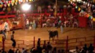 Mexican Rodeo Bull Blooper [upl. by Spada]