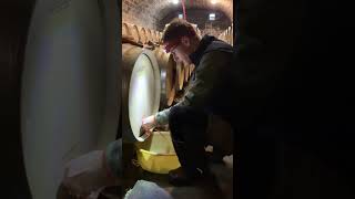 Tapping the barrels at Domaine Grivot 🍷🥰 domainegrivot [upl. by Fillbert]