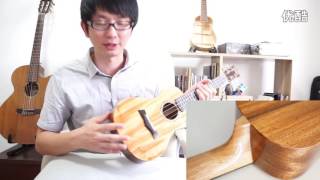 Snail Gloss SUCM3 All Solid Mahogany Laminated Concert Ukulele Review [upl. by Edric]